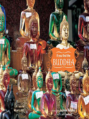 cover image of If You Find the Buddha